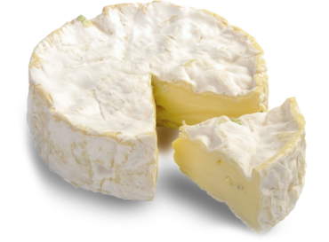 Camembert cheese with white mold