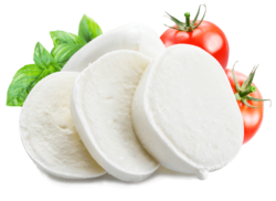 Italian mozzarella cheese