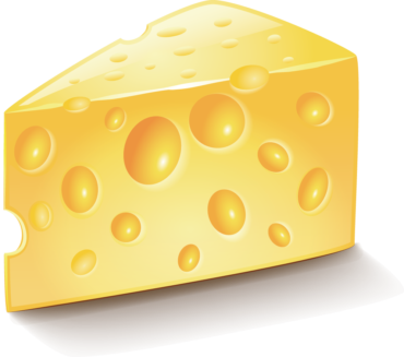 A piece of cheese vector