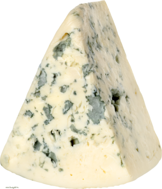 Cheese with mold dor blue
