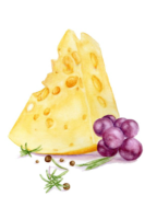 Cheese watercolor