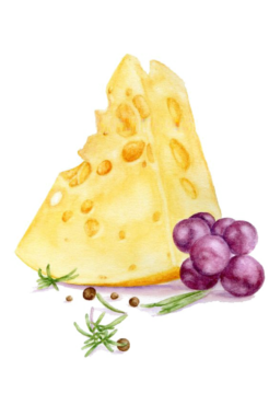 Cheese watercolor
