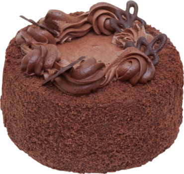 Cake with chocolate cream