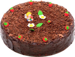 Sponge cake