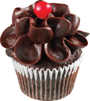 Chocolate cupcake
