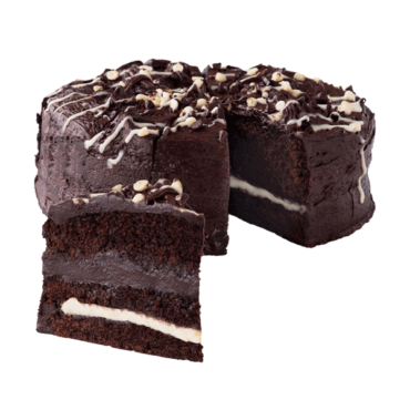 Delicious chocolate cake