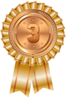 Award, 3rd place