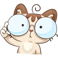 Surprised cat, sticker, vk
