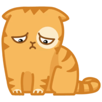 Sticker, decal, png