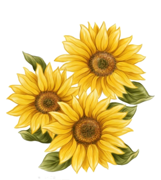 Drawing of a sunflower