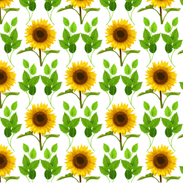 Background with sunflowers, PNG