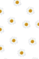 Chamomile background