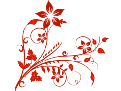 Red patterns