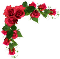 Flower corners, roses