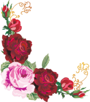 Flower frame, beautiful roses