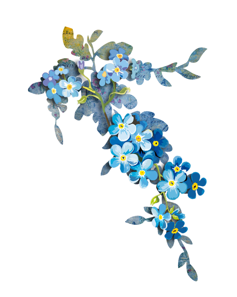 Download PNG Flower forget-me-not png - Free Transparent PNG