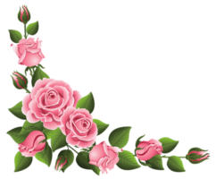 Flower corners, frame, png