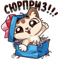 Sticker cat, surprise, vk
