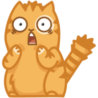 Sticker the cat is terrified