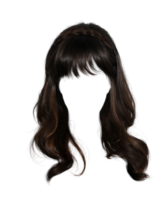 Hair, wig, png