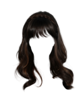 Brown hair, wig