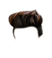 Men’s hairstyle, hair, wig
