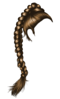 Braids, hairstyles, wigs