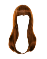 Wig with long hair
