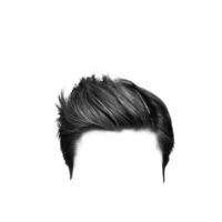 Wig, men’s hairstyles