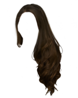 Hairstyles with long hair, wig