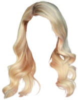 Blonde wig for photoshop