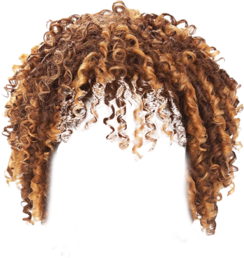 Download PNG Curly hair, wig - Free Transparent PNG