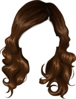Wig, png, hair