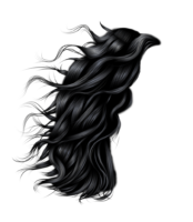 Dark curls, hair, wig
