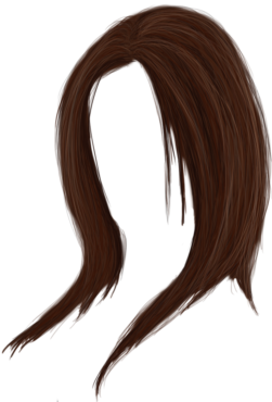 Download PNG Hairstyle, hair, wig - Free Transparent PNG