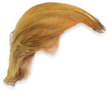 Trump’s hairstyle for Photoshop
