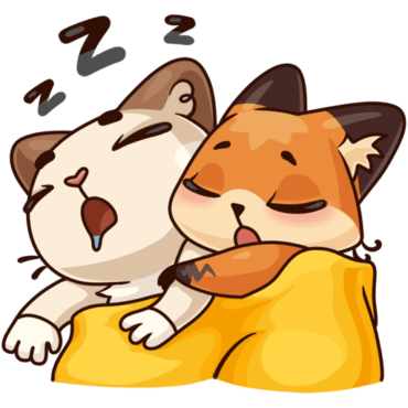 VK sticker, cat and fox stickers