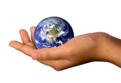 The planet is in your hands