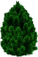 Artificial pine