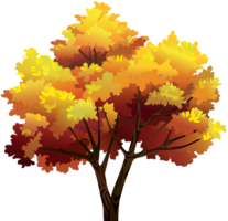 Autumn tree, png