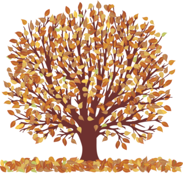 Poster autumn tree