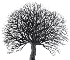 A tree without leaves