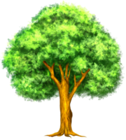 Green Tree