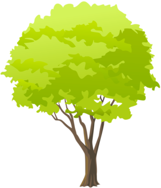 Tree transparent background