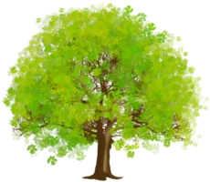 Green tree, art