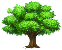 Family tree