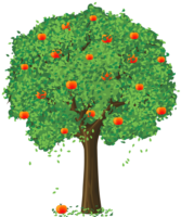 Apple tree
