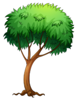 Tree illustration