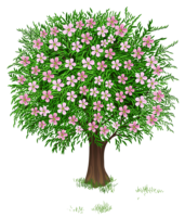 Flowering tree