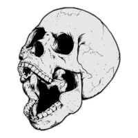 Skull sketch, PNG